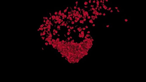 Romantic Red Rose Petals Heart Scatter Transition