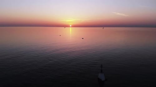 A flock of seagulls flying over the navigational marker and endless calm tropical ocean on a sunset.