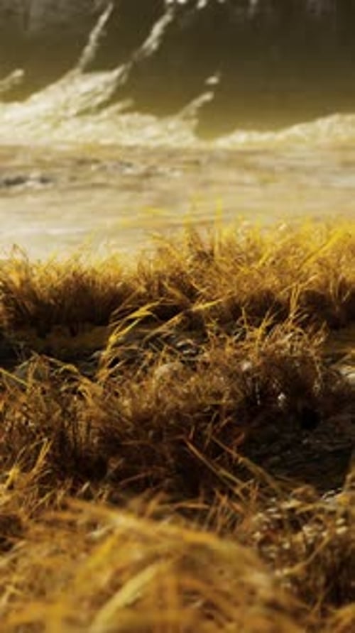 Dry Grass Fields and Mountains in Nepal
