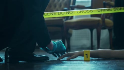 Investigator Collects Evidence at Crime Scene