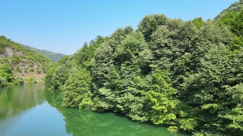 Luftsee, Wald