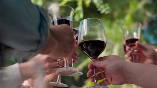 Adults Raise Wine Glasses in Celebration