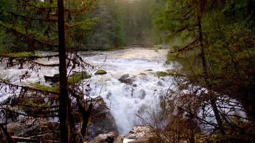 Vancouver island waterfall cascades through lush green forest by drone
