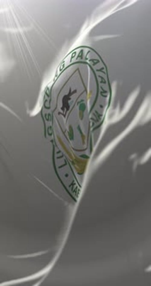 Flag of Palayan