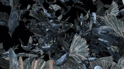 Flying Flock of Dark Birds Alpha Channel Overlay