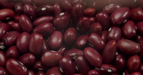 Close-Up of Red Kidney Beans Filling the Frame