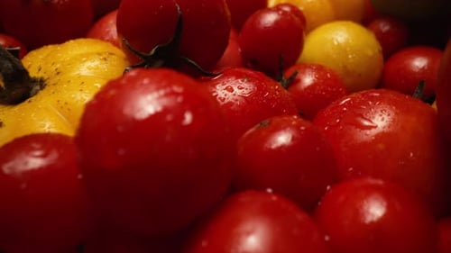 Variétés de tomates Macro Slider sur récolte de légumes biologiques frais noirs