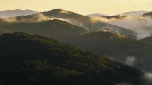 Nature Landscape of Tennessee Appalachian Mountains Mountain Forest with Green Canopies in Summer
