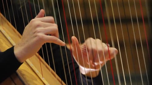 Harpist Plays Classic Music on a Wood Harp