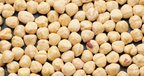 Close Up of Shelled Hazelnuts