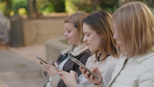 A Group of Young Friends is Engaged with Their Phones While Enjoying a Sunny Park Day