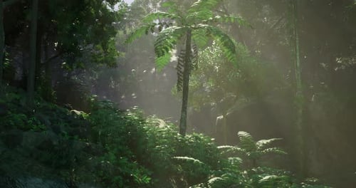Lush Forest Landscape with Sunlight Filtering Through Tropical Foliage
