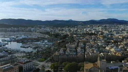 Zumbido descendiendo por la catedral de Palma de Mallorca.