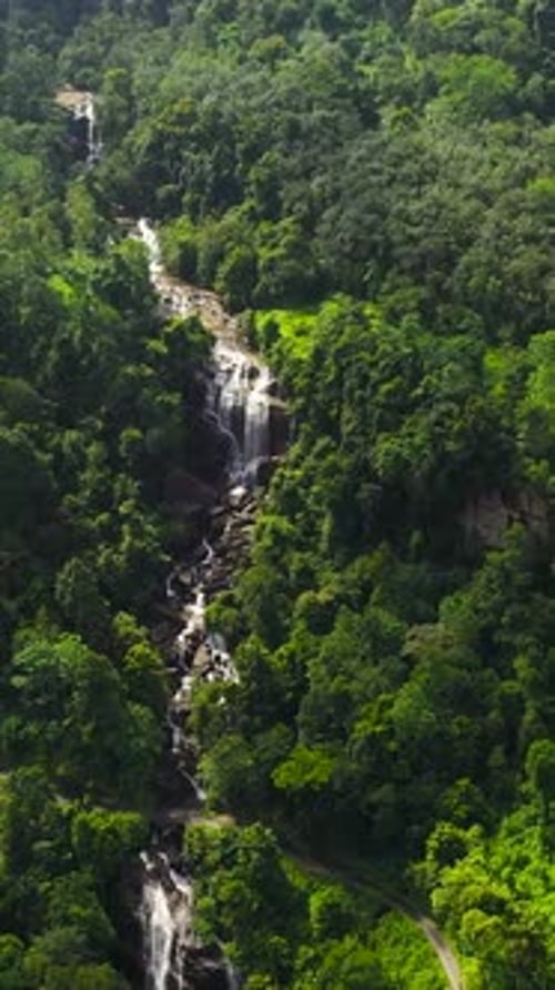 Waterfall in the Tropical Forest