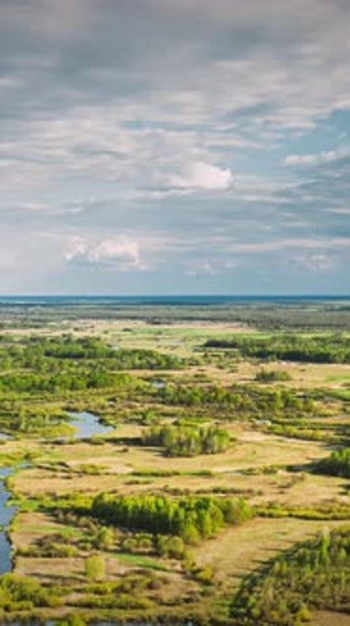 Aerial View Forest Woods And