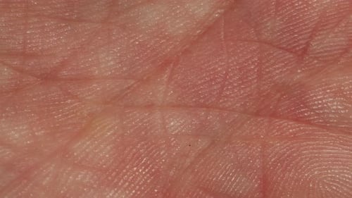 Closeup of Man Hand Skin Texture Macro Detailed Human Skin Lines on Hand Palm Life Line