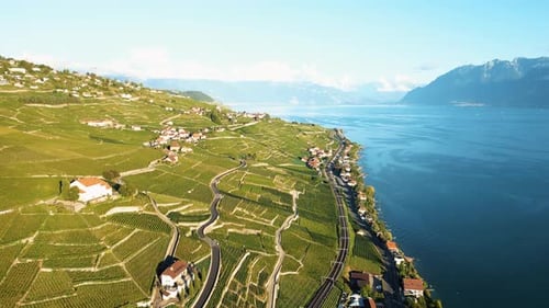 Aerial view of Lavaux Vineyard Terraces, Switzerland.