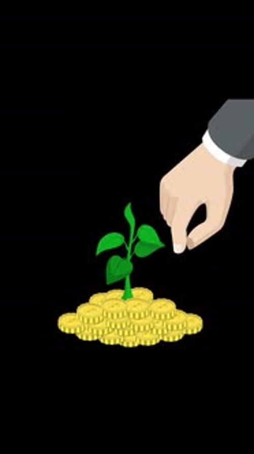Money Tree Coin Plant For Save Money On Vertical On Alpha Channel