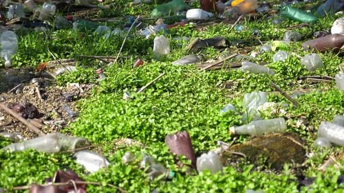 Many Plastic Bottles Lying on Green Lawn at Forest A Lot of Trash is Dumped in Open and Freely