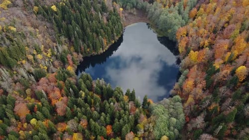 Autumn forest and lake aerial view