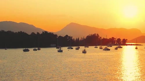 Yachts and sailboats in bay on beautiful golden sunset; summertime video
