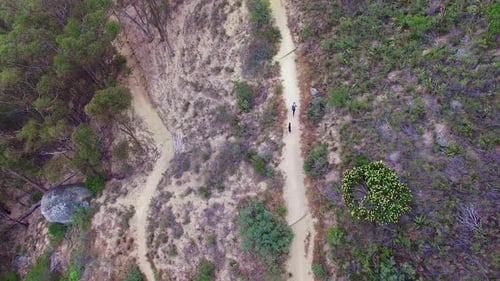 Aerial drone, person and dog hiking on mountain path in nature for adventure, journey or travel