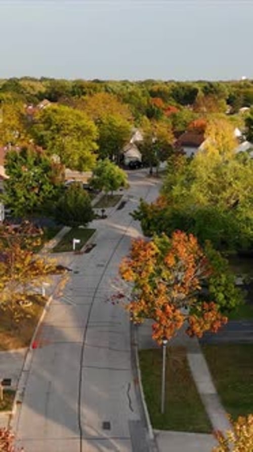 Aerial View of Suburban Street in Autumn Vibrant Homes and Trees Along Quiet Roads
