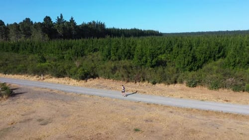 Man running on 4WD track with forest behind.