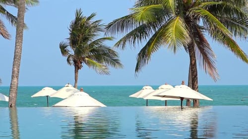 Tropical Hotel lounge with infinity pool and multiple umbrellas near the beach on a windy day