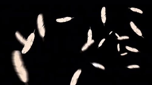Schwebende rosa Feder für Video-VFX-Animationen auf transparentem Hintergrund