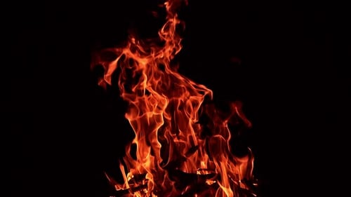 Big campfire burning in the total darkness. Tree branches burn in the fire at backdrop of darkness.