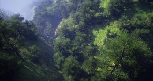 Lush Green Hills and Valleys Create a Serene Natural Landscape View