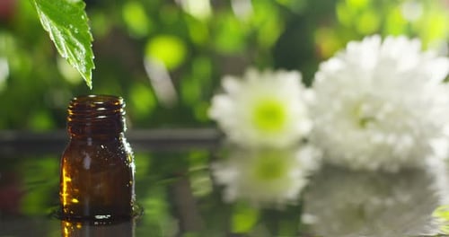 blend of essential oils with water drops, scents and aromas in aromatherapy for wellness and spa.
r