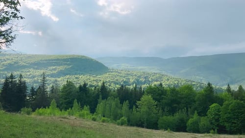 Panoramasicht auf die Berge, Wald, Tal im Sommer.