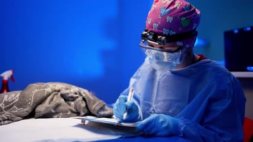 A Female Doctor Fills Out a Client's Card in the Clinic