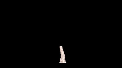Animated Tree Growth Reveal