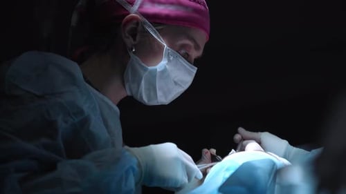 Surgeon Performing Operation in Hospital Operating Room