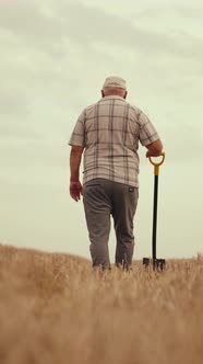 Old Farmworker with Shovel Walking in Mowed Golden Rye Field Back View ...