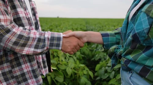 Farmers Handshake Confirming Agreement in Green Field