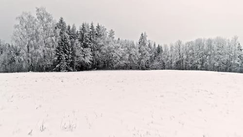 Snow Covered Forest in Winter Aerial Shot
