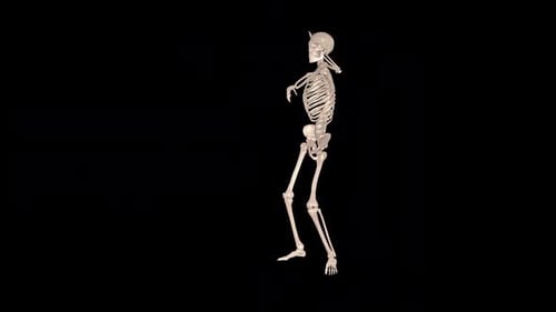 Skeleton Samba Dancing 4