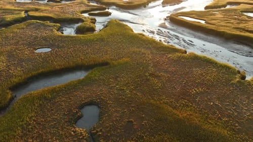 Flying Over Salt Marsh At Sunrise In Cape Cod, Barnstable, Massachusetts - Drone Shot