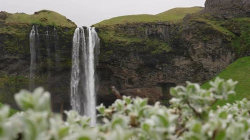 The Seljalandsfoss waterfall flowing majestically over a ridge in Iceland