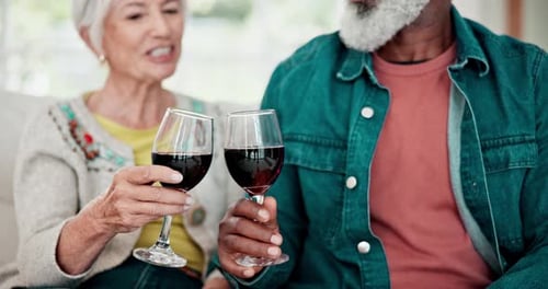 Senior Couple Toasting with Red Wine at Home