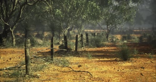 Realistic Arid Landscape with Barbed Wire Fence 3D Animation