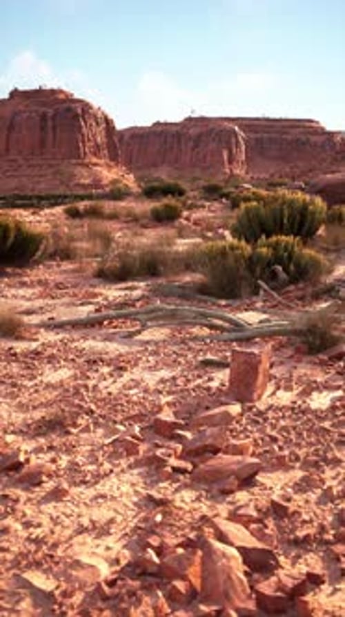 Barren Nevada Desert Field With Rocks and Bushes
