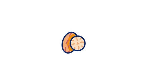 Artistic Nutmeg Spice Animated Icon