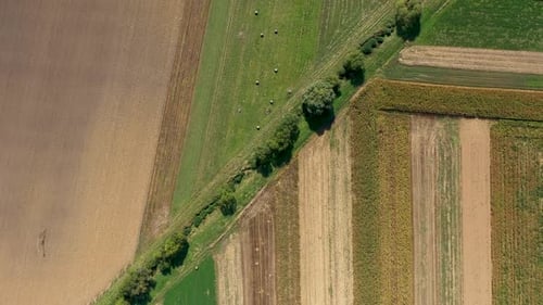 Aerial Drone View of Agriculture Field, Food Industry Concept by Drone