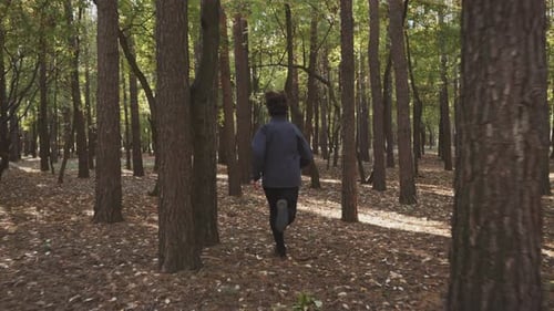 Slow Motion Jogger Running in Autumn Pine Forest