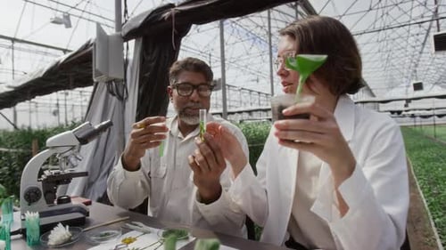 Two Botanists Conducting Chemistry Research in Greenhouse